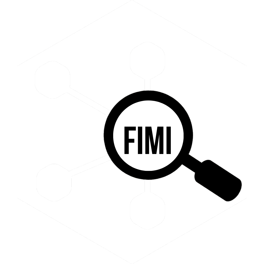 FIMI Taxonomy